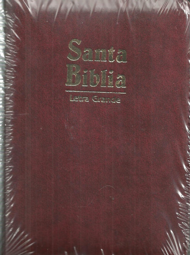 BIBLIA RVR045CZLGPJR-VINO