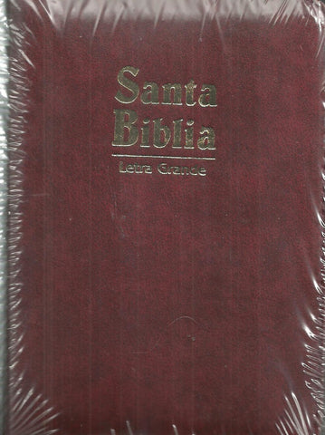 BIBLIA RVR045CZLGPJR-VINO