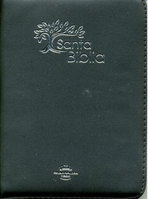 biblia negra olivo con plateado