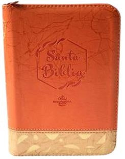 BIBLIA AYUDAS RVR045cZLM PJR NARANJA-BEIGE..