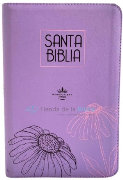 Biblia RVR60 Letra Grande con Recursos Digitales - Color Lila