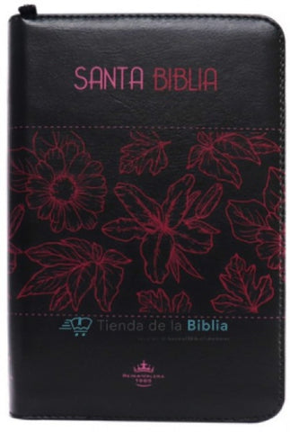 BIBLIA AYUDAS AZUL LINEAS*