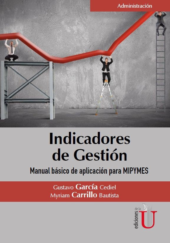 Indicadores de gestión. Manual Básico de aplicación para MIPYMES | Carrillo Bautista, García Cediel