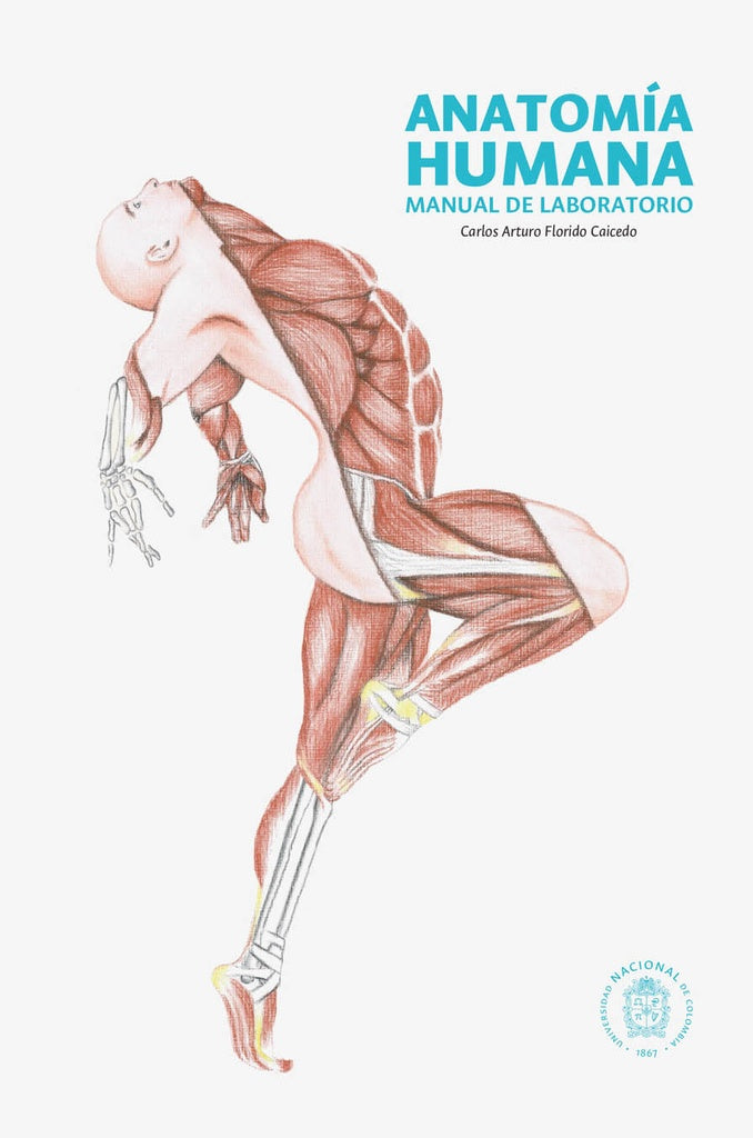 Anatomía humana. Manual de laboratorio | Carlos Arturo Florido Caicedo