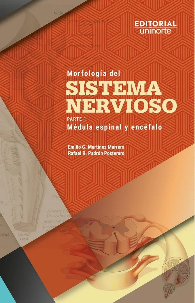 Morfología del sistema nervioso | emilio martinez