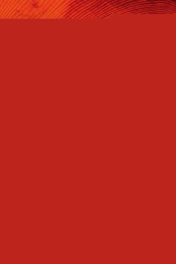 The colombian tax incentives for the orange economy | Federico Lewin Pinzón