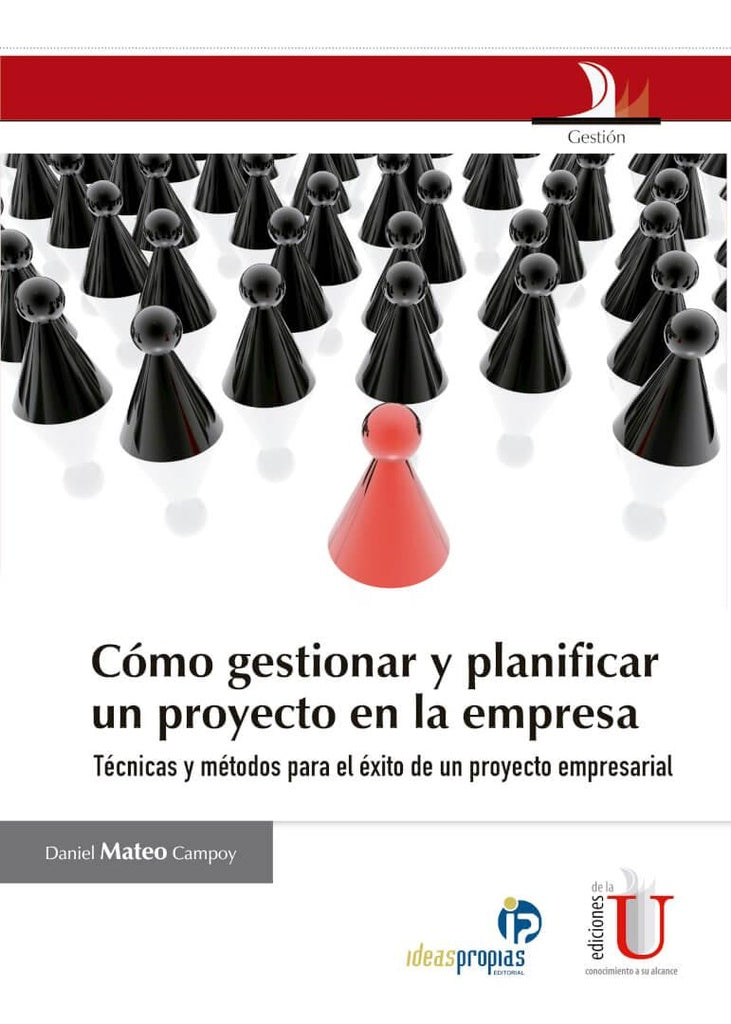 Cómo Gestionar Y Planificar Un Proyecto En La Empresa | Daniel Campo