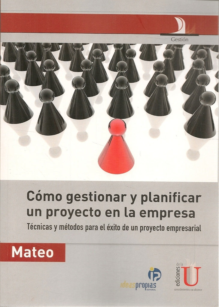 Cómo Gestionar Y Planificar Un Proyecto En La Empresa | Daniel Campo