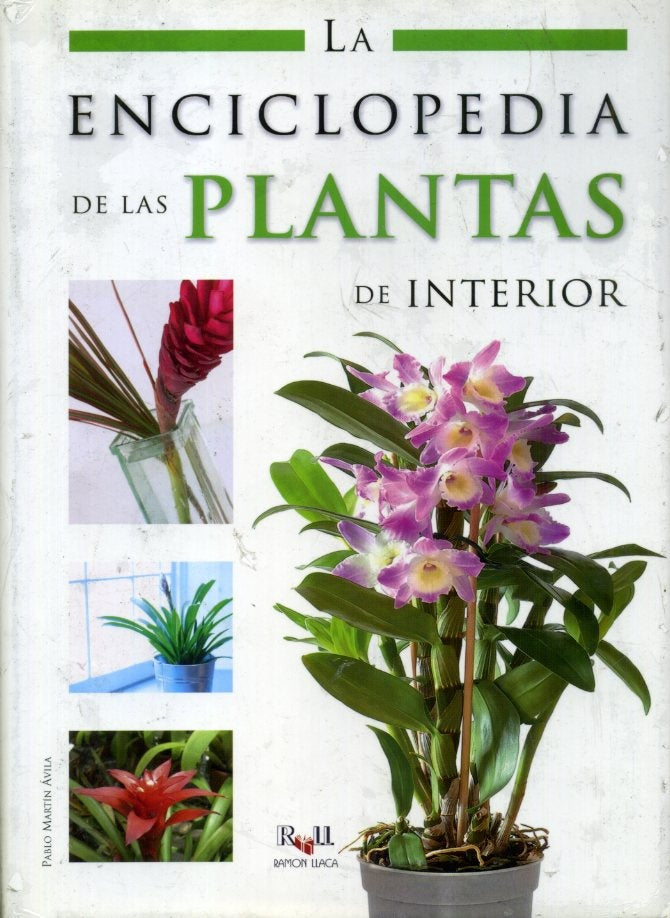 La enciclopedia de las plantas de interior | Pablo Martín Ávila