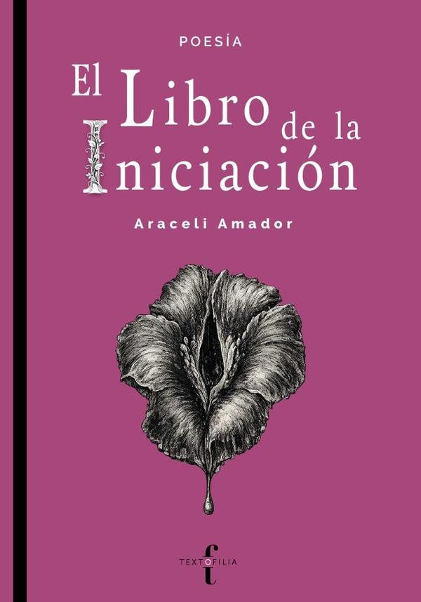 El libro de la iniciación | Araceli Amador