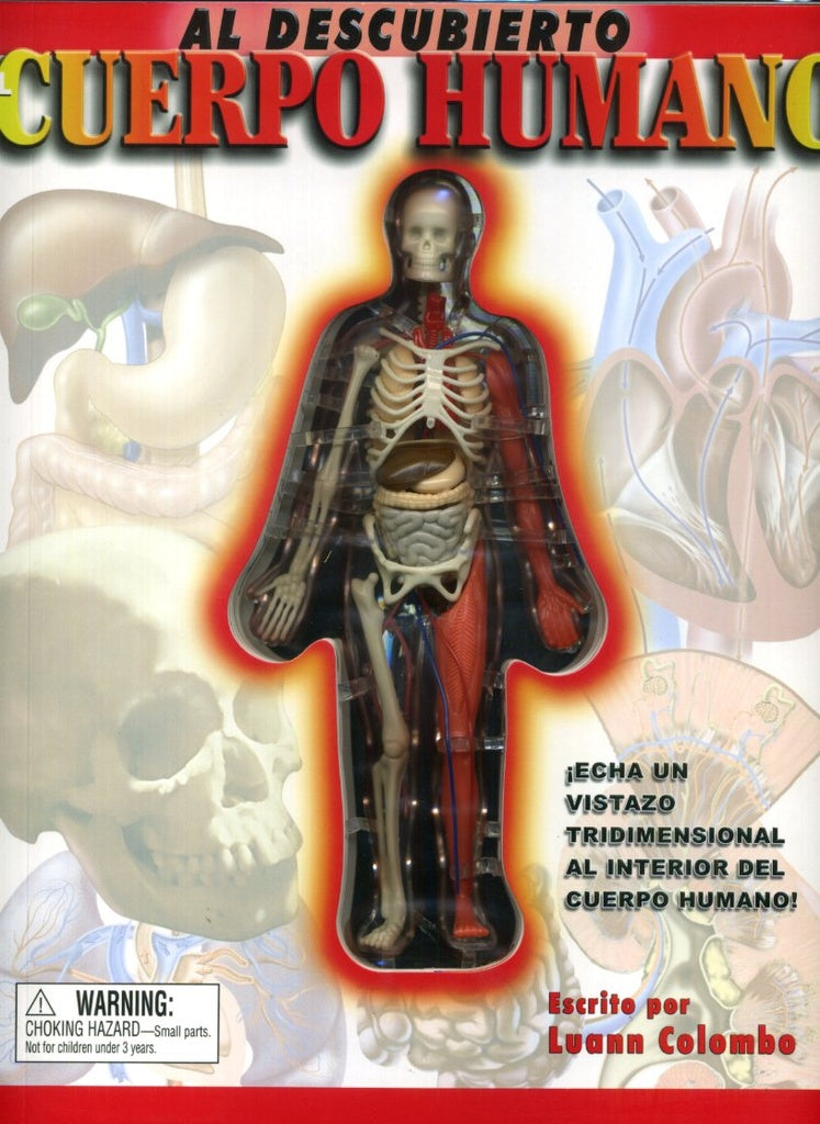 Al descubierto Cuerpo Humano