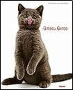 ¡GATOS & GATOS! | JANE BURTON