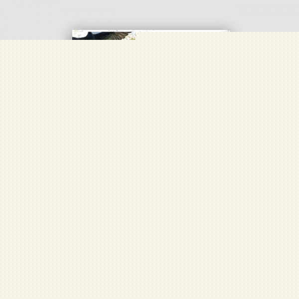 La nación incivil | Alonso Moleiro