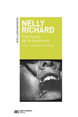 Artes visuales, memoria y género | Nelly Richard