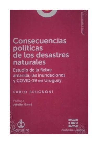 CONSECUENCIAS POLITICAS DE LOS DESASTRES NATURALES | Pablo  Brugnoni