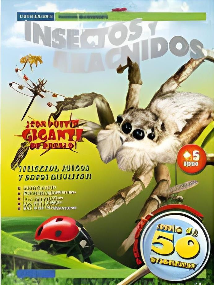Insectos y arácnidos