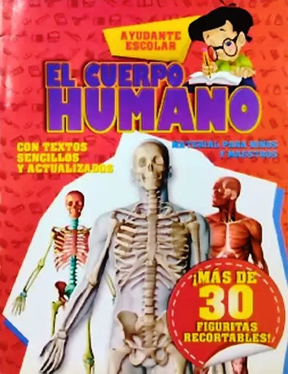 El cuerpo humano.*