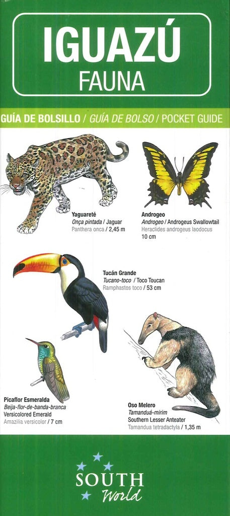 IGUAZU FAUNA.