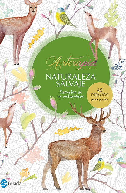 NATURALEZA SALVAJE SECRETOS DE LA NATURALEZA (COLECCION ARTERAPIA)