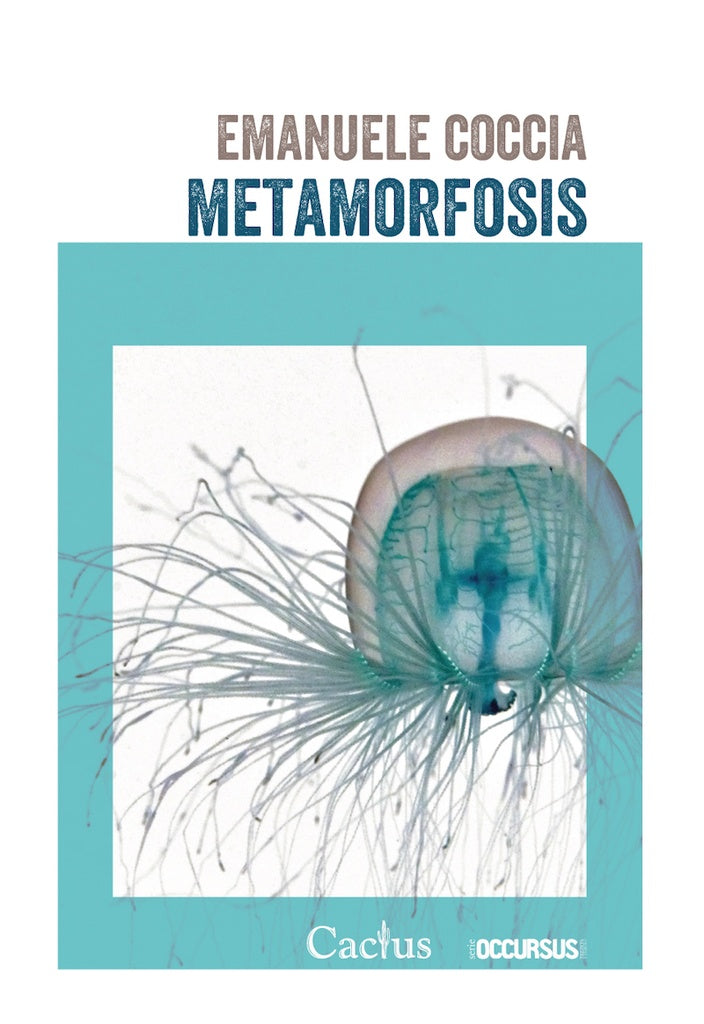 METAMORFOSIS.. | EMANUELLE  COCCIA