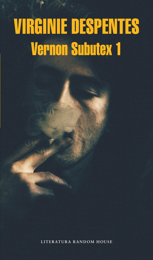 Vernon subutex vol I | Virginie Despentes