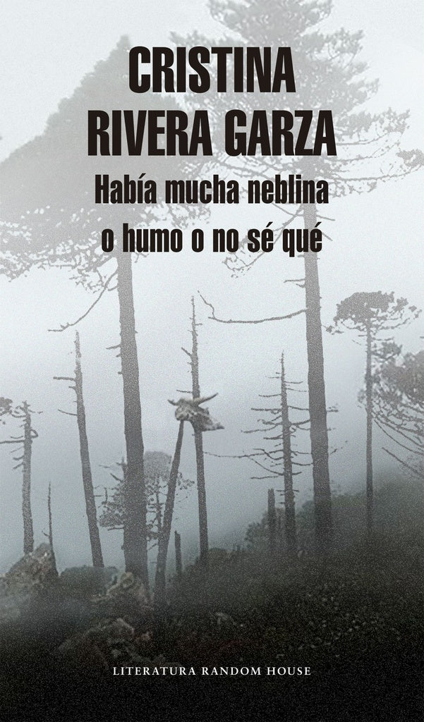 Había mucha niebla o humo o nose què | Cristina Rivera Garza
