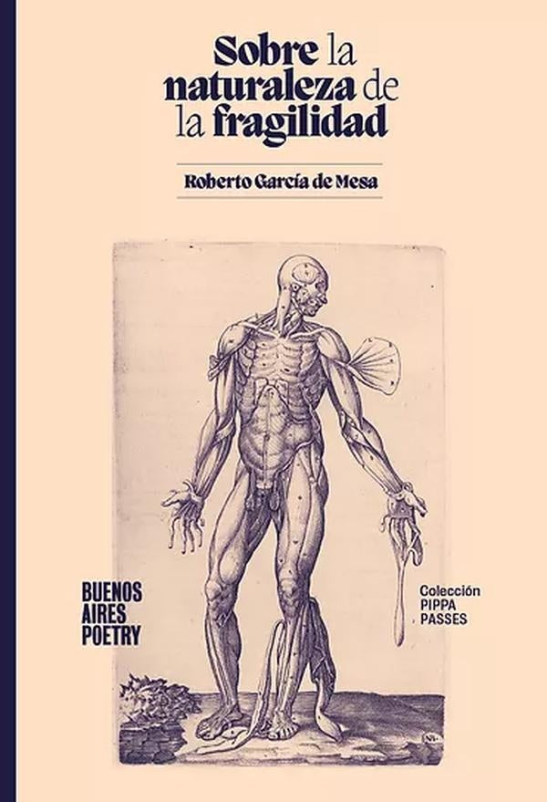 Sobre la naturaleza de la fragilidad | Roberto García de Mesa