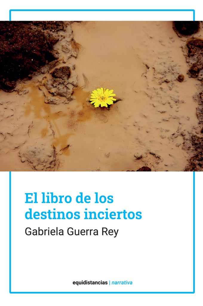 El libro de los destinos inciertos | Guerra, Guerra Rey