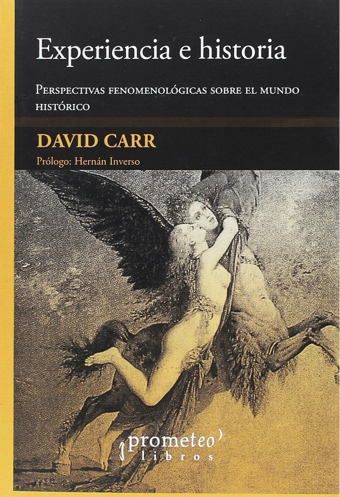 Experiencia e historia | David Carr