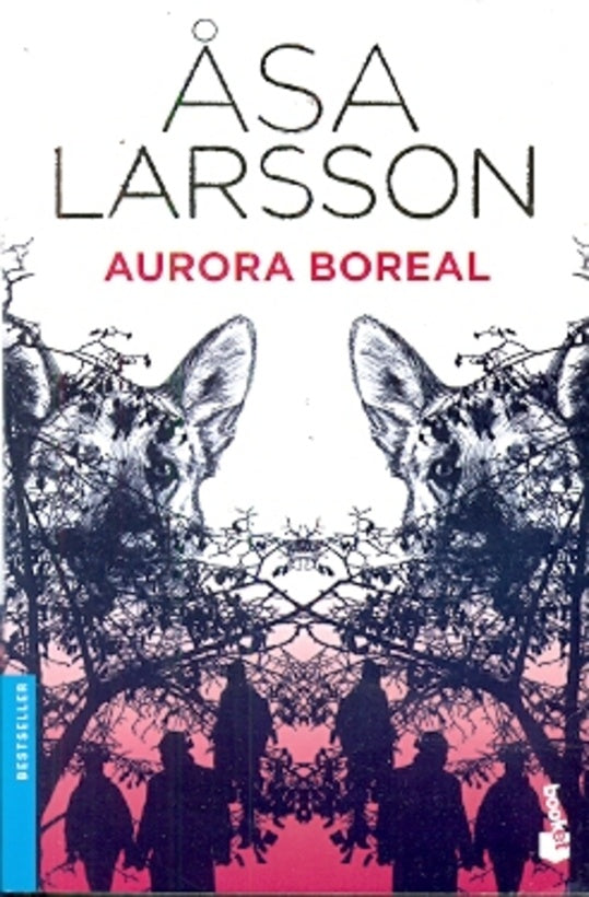 Aurora boreal | Asa Larsson