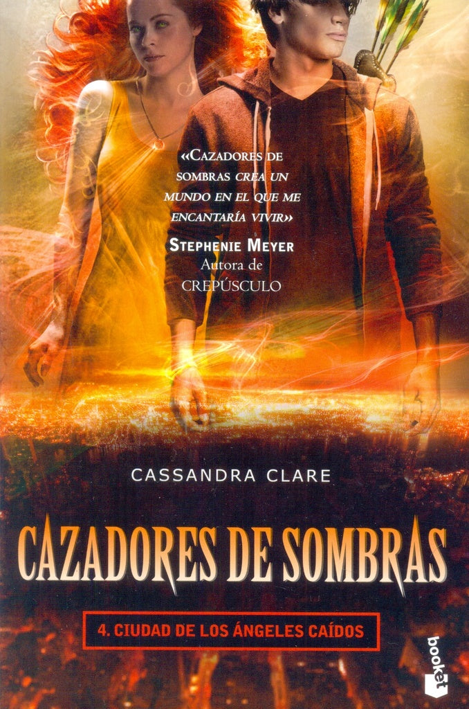 Ciudad De Los Angeles Caidos Cazadores De Sombras | Cassandra Clare