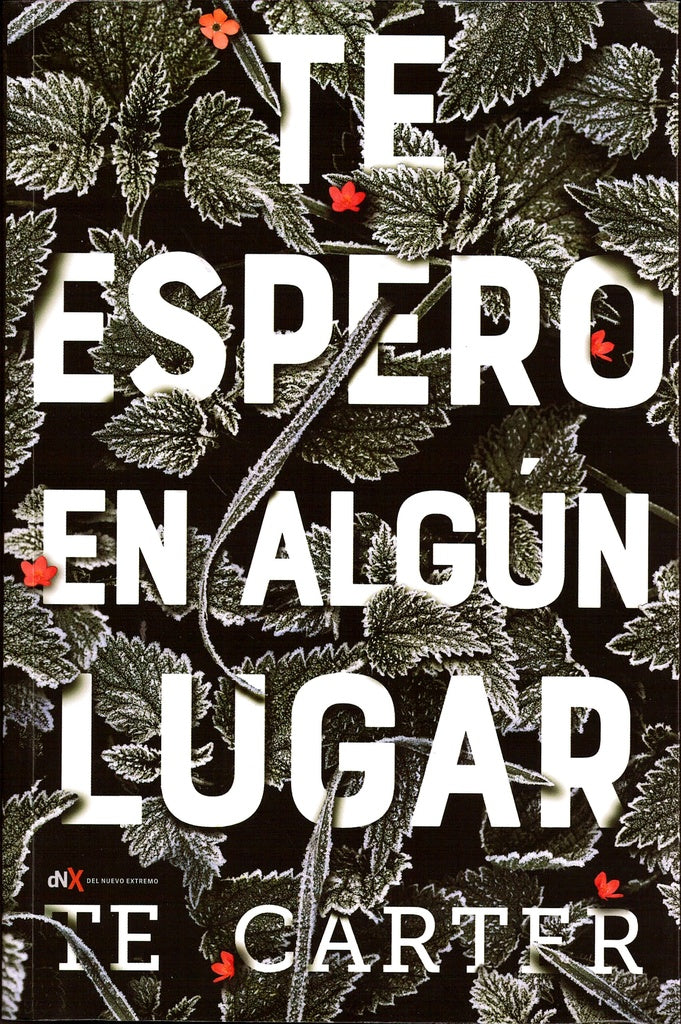 TE ESPERO EN ALGUN LUGAR | Terry Carter