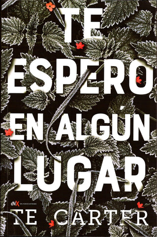 TE ESPERO EN ALGUN LUGAR | Terry Carter