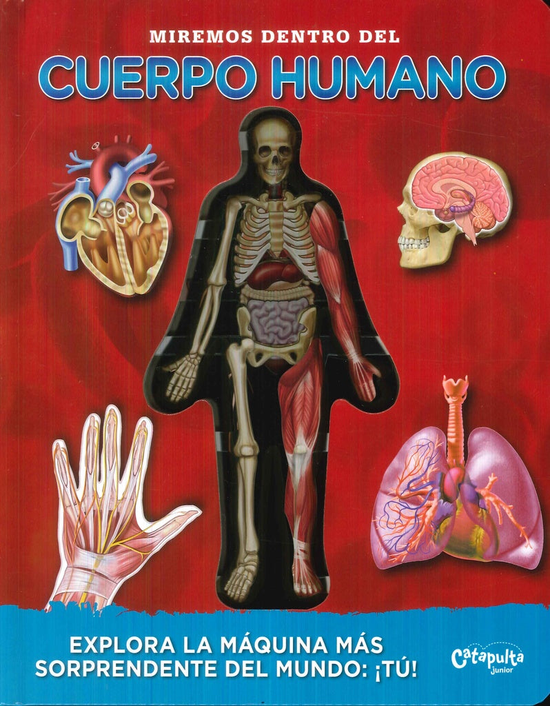 Miremos dentro del cuerpo humano