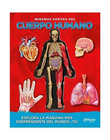 Miremos dentro del cuerpo humano