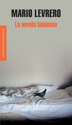 La novela luminosa | Mario Levrero