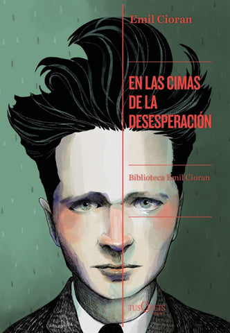 EN LAS CIMAS DE LA DESESPERACIÓN.. | Emile Michel