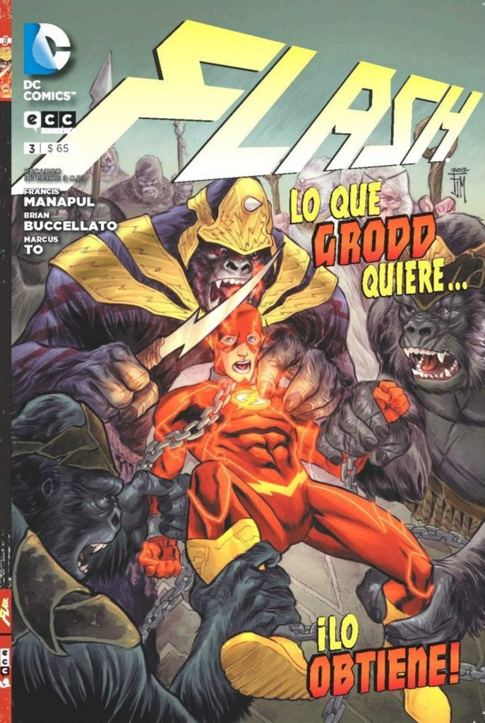 Flash | sin autor