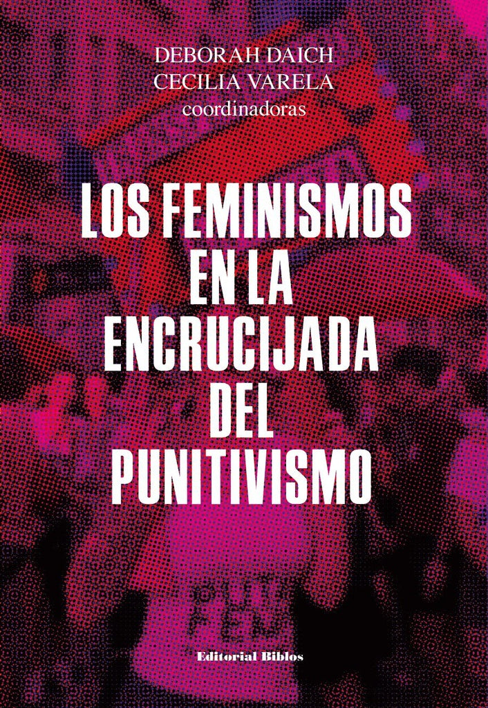 Los feminismos en la encrucijada del punitivismo  | Deborah  Daich