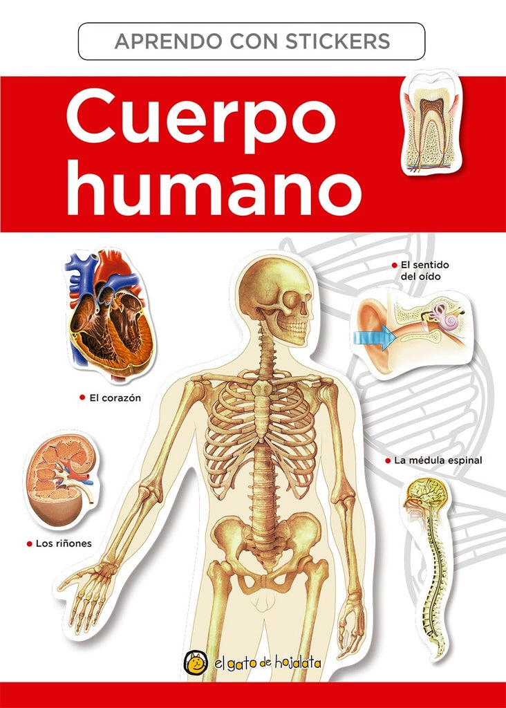 CUERPO HUMANO (STICKERS)