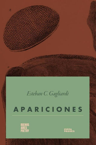 Apariciones | Esteban C. Gagliardi