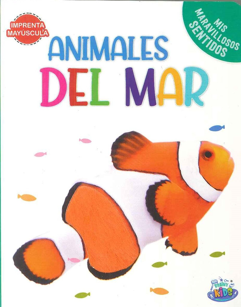 COLECCION MIS MARAVILLOSOS SENTIDOS