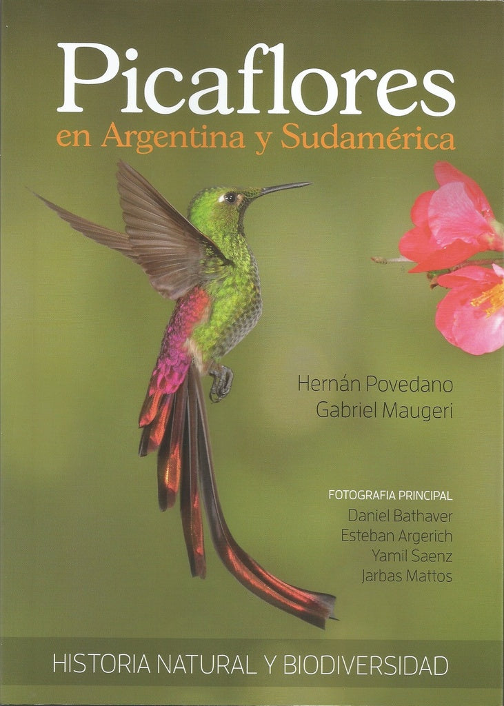 PICAFLORES EN ARGENTINA Y SUDAMÉRICA: HISTORIA NATURAL Y BIODIVERSIDAD.. | Hernan Povedano