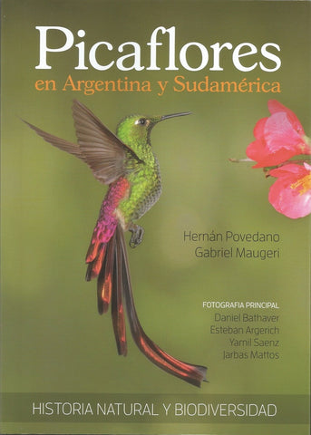 PICAFLORES EN ARGENTINA Y SUDAMÉRICA: HISTORIA NATURAL Y BIODIVERSIDAD.. | Hernan Povedano