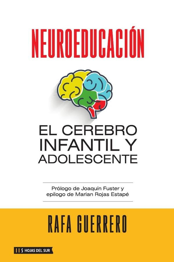 Neuroeducación: El cerebro infantil y adolescente | rafa guerrero