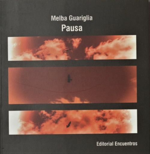 PAUSA.. | Melba Guariglia