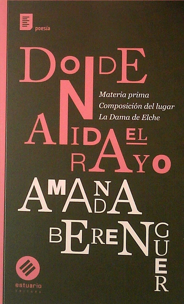 DONDE ANIDA EL RAYO | Amanda  Berenguer