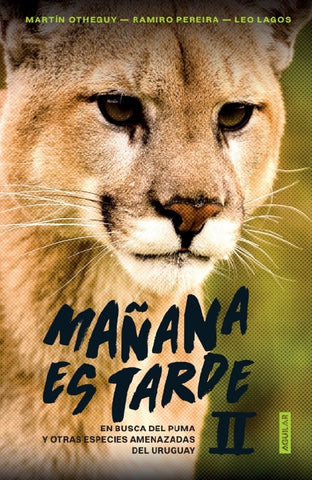 MAÑANA ES TARDE II.. | Martin  Otheguy