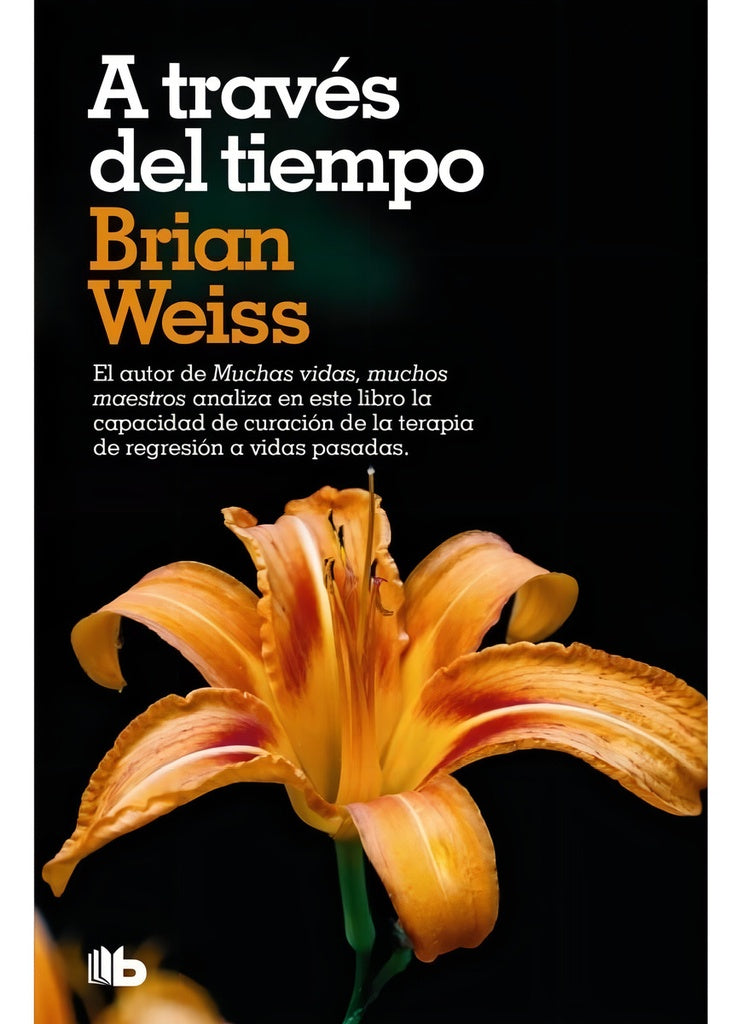 a traves del tiempo | BRIAN WEISS