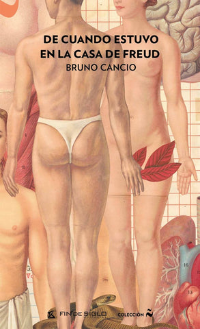 DE CUANDO ESTUVO EN LA CASA DE FREUD.. |  BRUNO  CANCIO